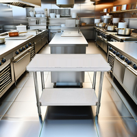 Table de préparation à deux niveaux robuste Bureau de rangement domestique en acier inoxydable avec étagère de dessous réglable