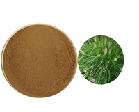 Ekstrak Herbal Equisetum Arvense L (Rumput Kuda) Kelas Makanan 1kg, Kaya Polifenol, Ekstrak Teh, Kesehatan, MOQ, Kemasan Kantong & Drum