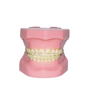 28 pz staffa artificiale tutta <span class=keywords><strong>Ortho</strong></span> ceramica modello dente medicale denti Nissin modello - Product Image 1