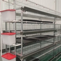 Cage à poulets de type H pour zone d'exportation et ferme de transformation