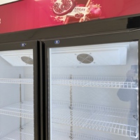 Vitrine Réfrigérée Grande Capacité Sans Givre avec Serrure à Clé de Sécurité pour Boissons, Sodas, Bières, Jus – Idéale pour Magasins de Détail