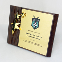Plaque de récompense en bois personnalisée avec ornement étoile en métal doré, logo personnalisé, trophée commémoratif pour club sportif, cadeau de reconnaissance