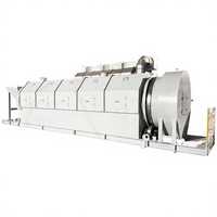 Équipement de criblage de déchets à double tambour à rouleaux de type trommel, fabriqué en Chine, avec moteur, capacité de 20 à 300 t/h, acier/fer fonte