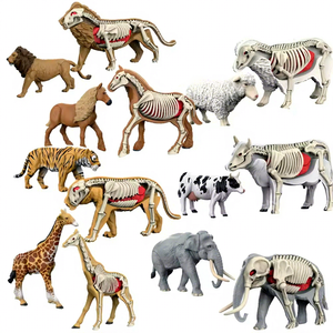 Rompecabezas de Anatomía Animal del Bosque en <span class=keywords><strong>3D</strong></span> de Ciencias Naturales, Tigre León, Kit de Ensamblaje DIY con Órganos Extraíbles, <span class=keywords><strong>Esqueleto</strong></span>, Juguetes Educativos STEM - Product Image 1