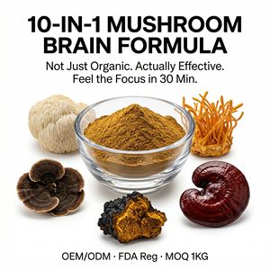 Miscela di Funghi Biologici 10 in 1 OEM ODM Etichetta Privata, Criniera di Leone, Cordyceps, <span class=keywords><strong>Chaga</strong></span>, Reishi, Coda di Tacchino, Polifenoli, Nootropico per il Cervello - Product Image 1