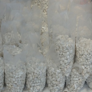 White pebble decorative for garden paving stone - Product Image 6