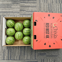 Boîtes en carton ondulé personnalisées avec trous d'aération pour l'emballage de fruits et légumes frais, boîtes d'expédition en carton durable
