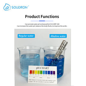 Tourmaline ORP pierre alcaline Nano bâton d'eau alcaline hydrogène eau bâtons d'acier inoxydable élever le pH 8-9.5 - Product Image 6