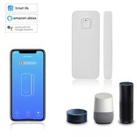 TUYA Sensor Pintu Jendela Pintar, Nirkabel Wifi untuk Sensor Alarm Sistem Keamanan Rumah Pintar