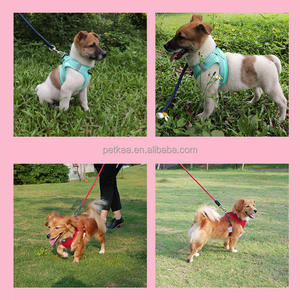 猫と子犬用ペットハーネスカスタマイズされた子犬ハーネス通気性空気メッシュパッド入り反射<span class=keywords><strong>XXS</strong></span>小型軽量 - Product Image 6