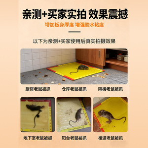 กาวดักหนูคิสซ่าแบบแผ่น 1 แพ็ค ใช้แล้วทิ้ง สำหรับควบคุมหนูในบ้าน - Product Image 4