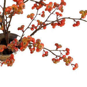 Vente en gros <span class=keywords><strong>de</strong></span> <span class=keywords><strong>fruits</strong></span> et fleurs simulés grappes d'argousier et brindilles <span class=keywords><strong>de</strong></span> saule des neiges pour la décoration <span class=keywords><strong>de</strong></span> la maison pour Halloween Noël - Product Image 3