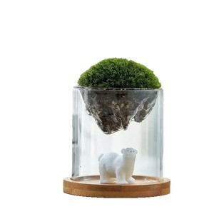 Vase en verre Guanshan Cup pour paysage miniature en mousse, ornement de bureau, cadeau créatif pour événements - Product Image 1