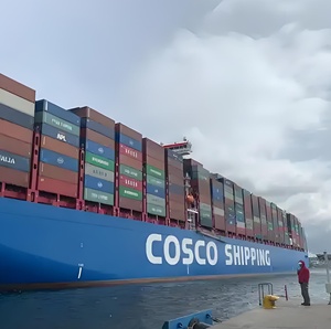 Transporteur de fret maritime FCL Container LCL pour la Chine vers la Guyane Française Degrad Des Cannes Agent d'expédition logistique - Product Image 4