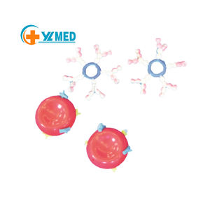 <span class=keywords><strong>ABO</strong></span> 혈액형 모델 10 부 의료 과학 시뮬레이터 교육 지원 장비 - Product Image 1