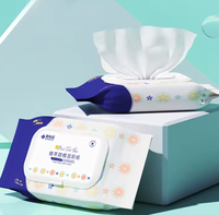 Lingettes humides pour toilettes biodégradables et organiques, personnalisées OEM, pour adultes, vente en gros