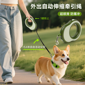 Automatic Retractable Dog Leash Green Rechargeable With <b>Light</b> For Large Dogs - Product Image 2