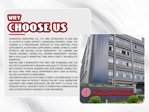 Suplementos Herbales Orgánicos X Power para Mejorar la Potencia Masculina, Cápsulas de Maca y Ginseng para Energía y Vitalidad Masculina - Product Image 2