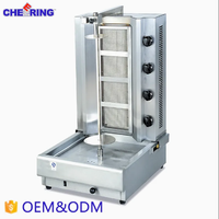 Oven Panggang Ayam Vertikal Stainless Steel 201/304 untuk Dapur Komersial, Mesin Rotisserie Gas, Kapasitas 12-16 Pcs, Hotel & Restoran