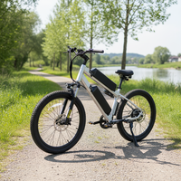 Vélo de montagne Lantu Ebike Mtb 27,5 pouces 750W avec double batterie