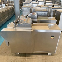 DY Multifunctionele Groente- en Fruit Snijmachine SUS304 RVS Commerciële 400-1000KG/H Groenteverwerkingsinstallatie