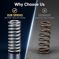 Haute qualité en acier inoxydable essieu avant gauche amortisseur ressorts Suspension ressort Certification bobines Type de charge de Compression
