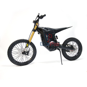 Moto tout-terrain Leopard Xe Pro, prix bas, puissance maximale 16,8 KW/20 KW, offrant des performances impressionnantes. T - Product Image 3