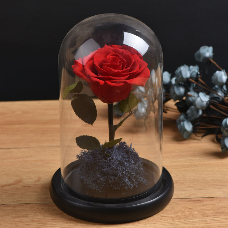 Factory Wholesale Custom Large Bell Glass Cloche Clear Glass Dome house With Wood Base for flower preserved