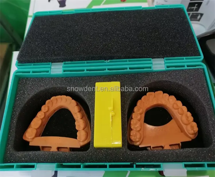 صندوق متين نموذج مختبر طبيب الأسنان صندوق فوم صندوق أسنان مع إسفنجة للشحن نموذج كبير