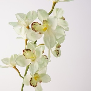 W-A0260 Fleurs artificielles Orchidée imprimée en 3D <span class=keywords><strong>Cymbidium</strong></span> au toucher réel <span class=keywords><strong>Cymbidium</strong></span> artificiel pour la décoration de mariage et de la maison - Product Image 6
