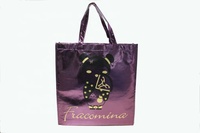 Sac d'emballage en plastique laminé PPNW non tissé personnalisé Texpack OEM pour la promotion des achats avec poignée de transport