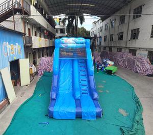 Toboggan à eau/sec <span class=keywords><strong>gonflable</strong></span> commercial Ocean World <span class=keywords><strong>Petit</strong></span> toboggan à eau bon marché Piscine commerciale Château sautant pour les enfants - Product Image 5