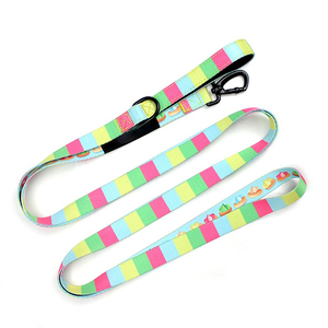 Laisse pour chien tressée robuste, laisse de sécurité anti-évasion pour animaux de compagnie avec boucle solide - Product Image 2