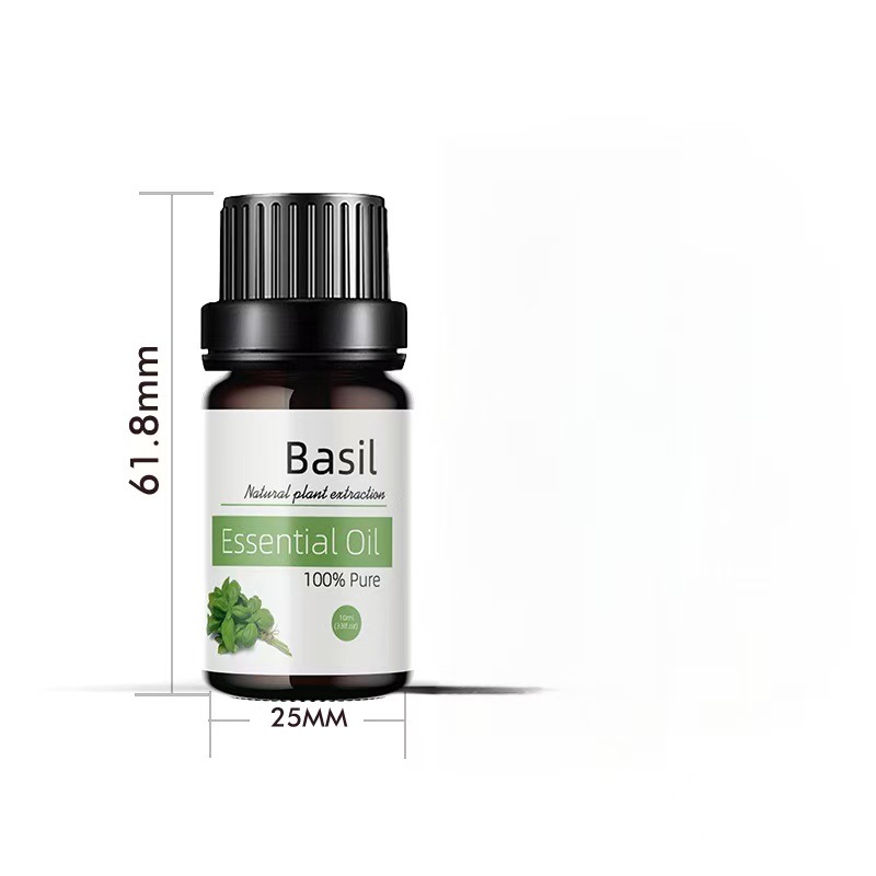 Basilic