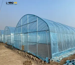 Green House Agricultural Tunnel Green House Plastic For Fruit/ Strawberry/Blueberry/Cherry/Grape Growing