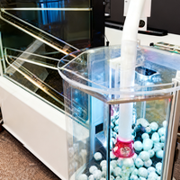 Machine de loterie de casino, système de loterie automatique, équipement de loterie avec design de boules hautement transparentes, machine de loterie de divertissement