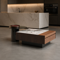 Table basse minimaliste de luxe en pierre microcristalline, combinaison créative pour salon, table basse carrée en métal laqué