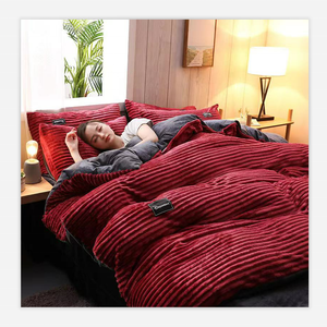 Offre Spéciale – Ensemble de Literie Hôtelier 4 Pièces en Polaire Velours Polyester Solide, Hiver Chaud, Taille Queen et King, Housse de Couette et Drap - Product Image 2