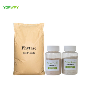 Ydaway phytase dạng hạt bột siêu nhiệt ổn định thức ăn Enzyme cho gia cầm heo con thức ăn sản xuất 5000u/g 10 000u/g - Product Image 2