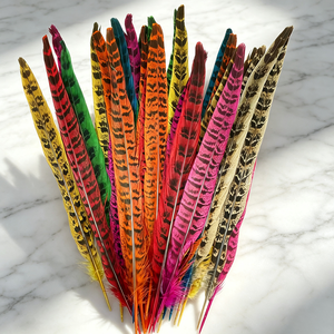 Plumes de faisan Ringnick colorées pour embellissement de coiffure de mariée, plumes de cérémonie à tenir à <span class=keywords><strong>la</strong></span> main, accessoires pour demoiselles d'honneur - Product Image 1