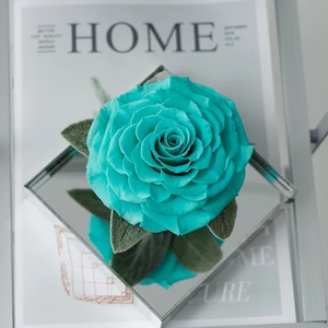 <span class=keywords><strong>Rosa</strong></span> Eterna 2025, Regalo per Fidanzata, Madre, Migliore Amica, Compleanno, San Valentino, Rose di Alta Qualità - Product Image 1