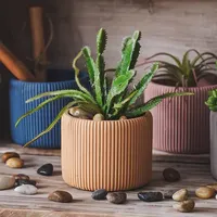 Macetas suculentas de cemento coloridas de Diseño a rayas nórdico, macetas de flores para interior, bonsái pequeño para plantas