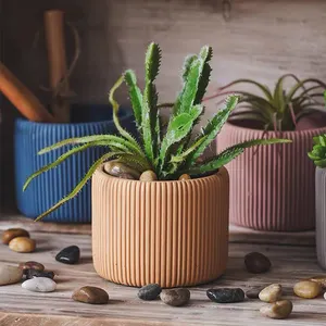 Design rayé nordique mignon coréen en vrac pas cher coloré ciment succulentes jardinières intérieur pots de fleurs petit bonsaï pot pour plante
