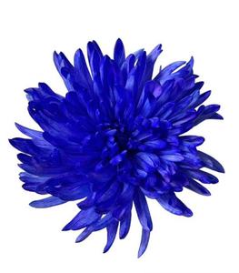 Colorants dispersés Liqian, bleu brillant CRE, poudre colorante pour tissus vestimentaires, qualité de <span class=keywords><strong>teinture</strong></span> haute précision, pigment bleu CAS - Product Image 3
