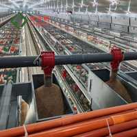 Offre Spéciale : Distributeur Automatique de Nourriture pour Poulets, Équipement d'Élevage Avicole, Cage à Batterie pour Poulets de Chair (10 000 oiseaux), Durable et Stable
