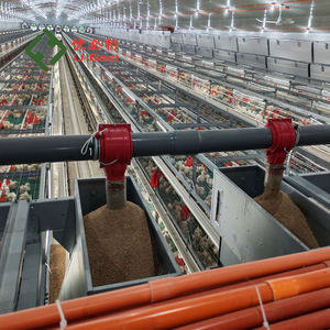 Oferta Especial: Comedero Automático <span class=keywords><strong>para</strong></span> <span class=keywords><strong>Pollos</strong></span>, Equipo <span class=keywords><strong>de</strong></span> Avicultura, Jaula <span class=keywords><strong>para</strong></span> <span class=keywords><strong>Pollos</strong></span> <span class=keywords><strong>de</strong></span> Engorde <span class=keywords><strong>para</strong></span> 10000 Aves, Duradero y Estable - Product Image 3