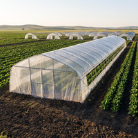 Film tissé agricole pour serre, haute résistance, imperméable, 85% de transmittance, pour la production de légumes et de fruits, découpe sur mesure