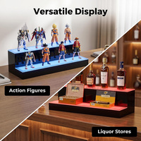 Présentoir de Bouteilles Lumineux LED RGB pour Bar et Commerce – Étagère Acrylique Illuminée pour Bouteilles d'Alcool