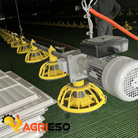 Mangeoire réglable pour poulets de chair, équipement avicole automatique