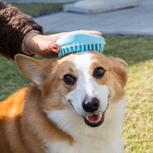 Cepillo de champú para perros para masaje de espalda, cepillo de silicona para ducha, cepillo de curry hecho de goma, cepillo para el cuidado de mascotas - Product Image 4
